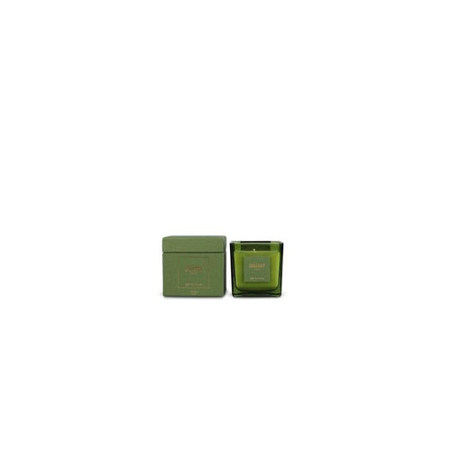 S|P Collection Scented Candle 220g Forest Gallery