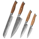 SOPHIOR 4-Piece Knife Set 'Performance'